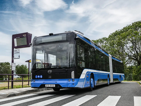 �yȫ�W��늄�(d��ng)��ͼ������ȁ�������2025�����r(sh��)܇չ